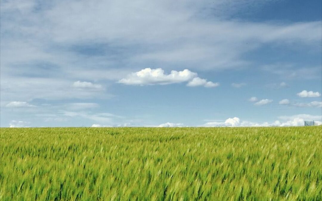 𝗜𝗻𝗱𝗶𝗰𝗮𝘇𝗶𝗼𝗻𝗶 𝗱𝗲𝗹 𝗠𝗶𝗻𝗶𝘀𝘁𝗲𝗿𝗼 𝗱𝗲𝗹𝗹𝗮 𝗖𝘂𝗹𝘁𝘂𝗿𝗮 𝘀𝘂𝗹 𝗦𝗮𝗹𝘃𝗮 𝗖𝗮𝘀𝗮 𝗮𝗿𝘁. 𝟯𝟲𝗯𝗶𝘀 – Sanatoria Paesaggistica